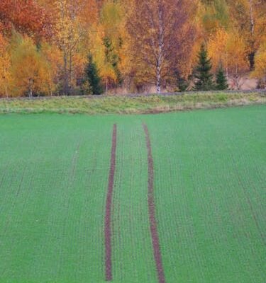 Grunto rūšys ir jų įtaka žemės darbams: ką būtina žinoti prieš pradedant kasimą