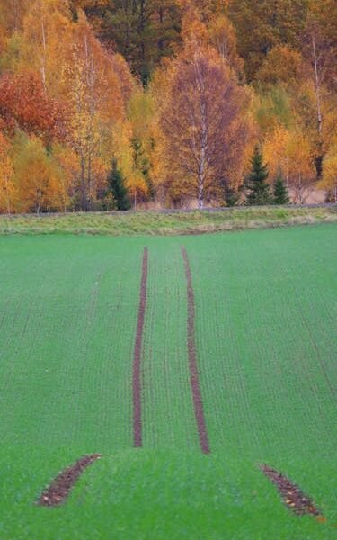 Ekskavatorius kasa gruntą statybvietėje – grunto rūšys ir jų įtaka žemės darbams prieš kasimą
