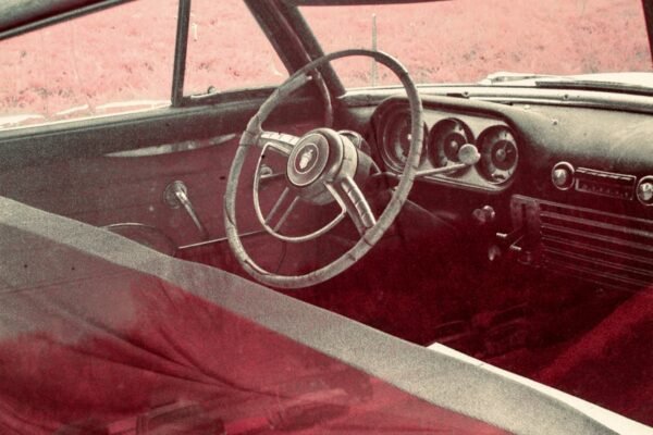 Miško keliukų ir privažiavimų tvarkymas: kokia technika reikalinga ir nuo ko pradėti