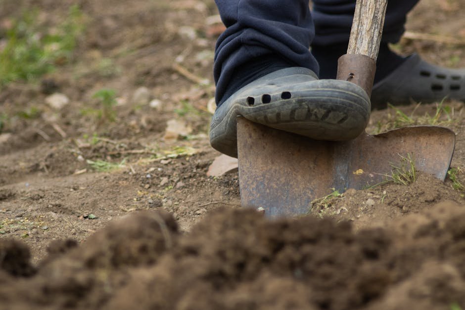 Worker examining a freshly dug soil pit to identify ground layers in a plot
