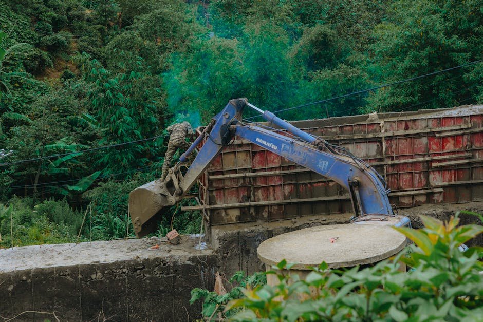 Tracked excavator working in a forest plot during land clearing