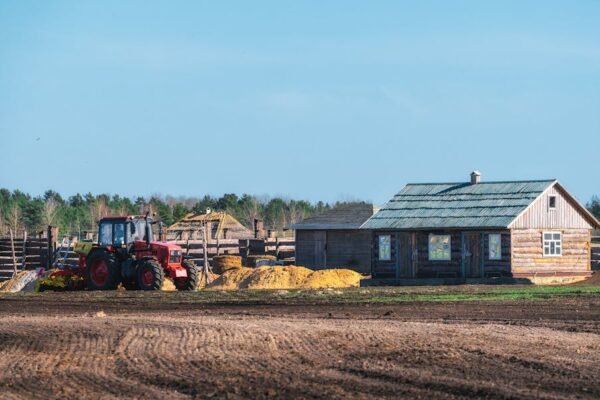 Kaip pasirinkti tinkamą sunkiąją techniką sklypo, sodybos ar ūkio tvarkymo darbams?