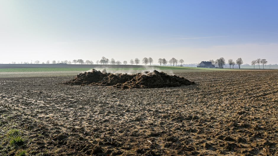 Different soil piles on a yard prepared for landscaping and ground leveling